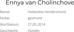 Ennya van Cholinchove Rasse:		Hollandse Herdershond Farbe:		gestromt Wurfdatum:	27.05.2014 Geschlecht:		Hündin