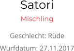 Satori Mischling Geschlecht: Rüde Wurfdatum: 27.11.2017